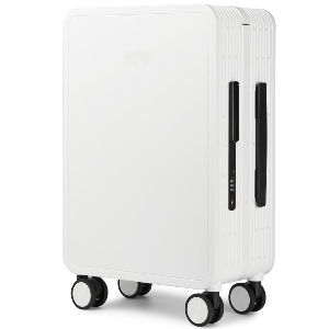 Papelan Hardside Luggage with Double Spinner Wheels, Carry-On 20-Inch, Quiet, TS