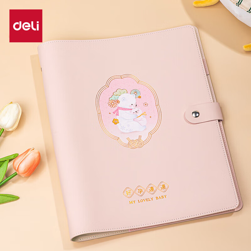 Deli Pregnancy Check-Up Organizer, Prenatal Report Folder, Maternity Information Folder, Pregnancy Record Book, Loose-Leaf Notebook, Portable Ultrasound A4+A5 Medical Examination Form File Folder, Pin