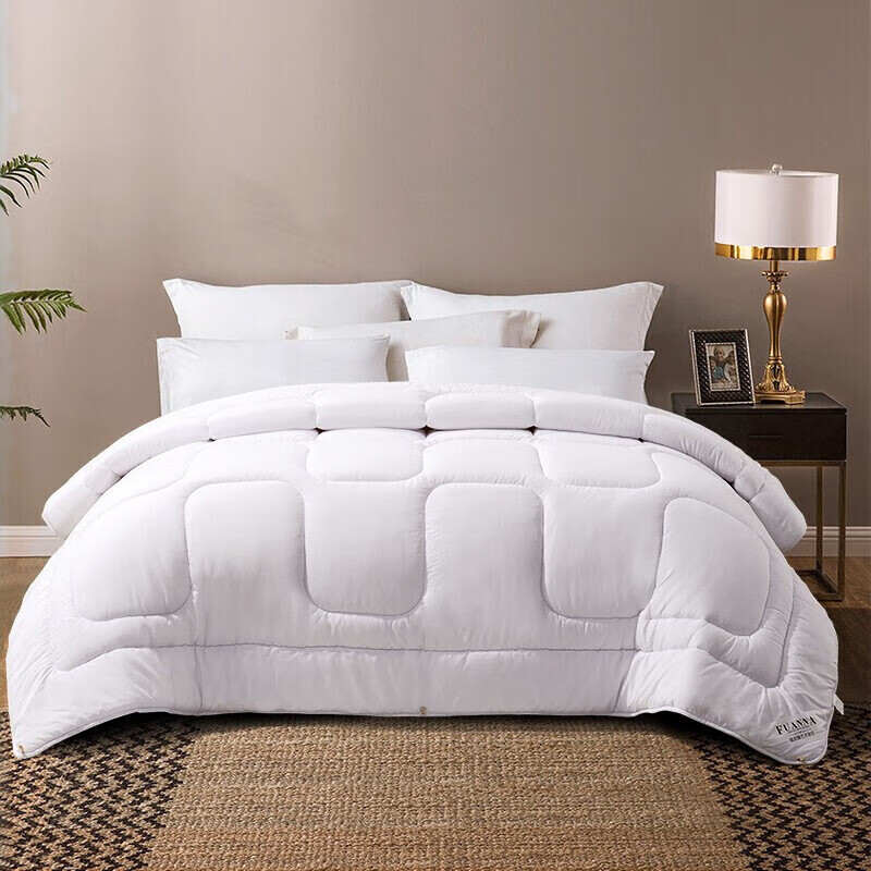 Fuanna, Warm Seven-Hole Antibacterial, Double Fiber Quilt for Winter, Thick Winter Comforter 6 Jin, 203*229cm, White