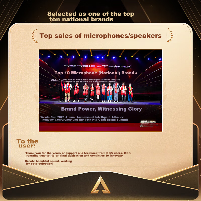 BBS G-28 [National Subsidy] Wireless Microphone System, UHF Dual-Channel Professional Teaching Microphone, Stage Host Microphone, KTV Home Karaoke System for Home Use