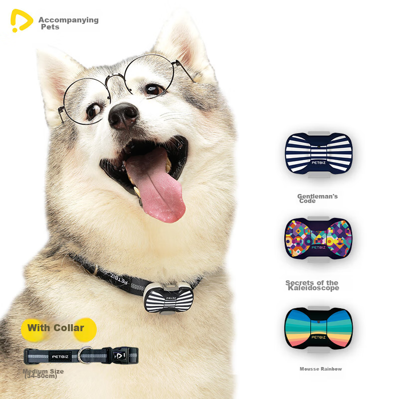 Peibei Pet Dog Cat Locator Anti-Lost Tracker, Wireless GPS Positioning Collar, Anti-Lost Device, Kuizhuang